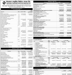 National Laghubitta has published its annual financial statement of the fiscal year 2081/82