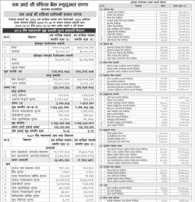 NIC Asia Capital has published 