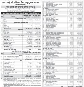 NIC Asia Capital Limited has published 