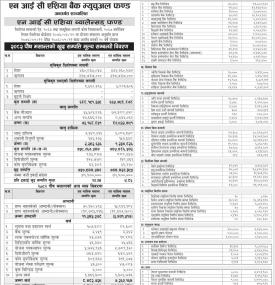 NIC Asia Capital Limited has published 