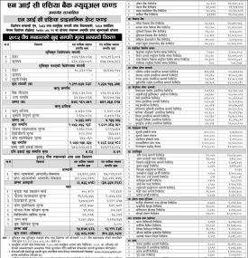 NIC Asia Capital has published 