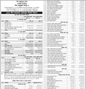 NIMB Ace Capital Limited has published 