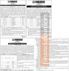 Nepal Bank Limited Opens Online Applications for Various Positions
