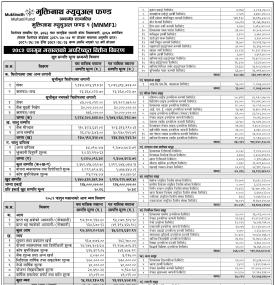 Muktinath Capital has published 