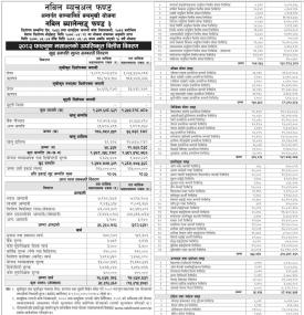 Nabil Investment Banking has published 