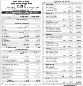 Nabil Investment Banking Limited has published 