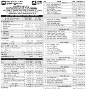  NMB Capital has published 