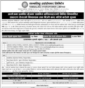 याम्बालिङ्ग हाइड्रोको आईपीओमा आवेदन गर्ने अन्तिम मौका सम्बन्धी सूचना