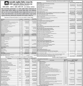 NMB Laghubitta has published its annual financial statement of the fiscal year 2081/82