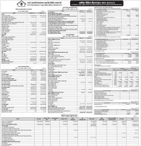 First Microfinance Laghubitta has published its annual financial statement of the fiscal year 2081/8