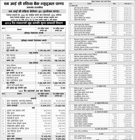 NIC Asia Capital has published 