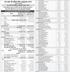 NIC Asia Capital has published 