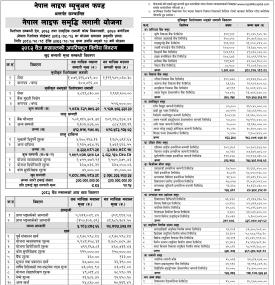 Nepal Life Capital has published 