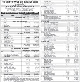 NIC Asia Capital has published 