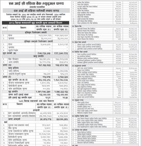 NIC Asia Capital has published 