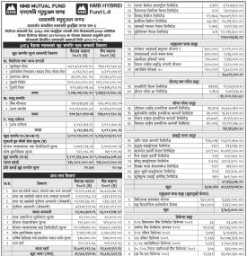 NMB Capital Limited has published 