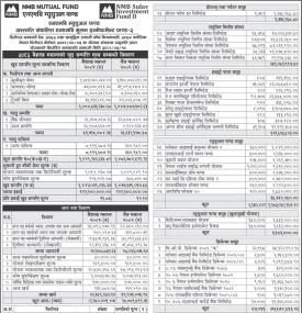 NMB Capital Limited has published 