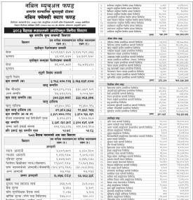  Nabil Investment Banking Limited has published 