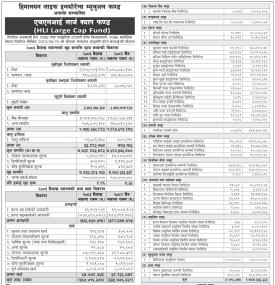 Himalayan Investment Banker Limited has published 