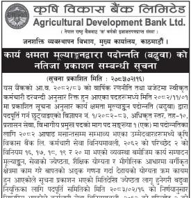 Agricultural Development Bank Announces Promotion Result Based on Performance Evaluation