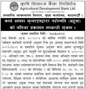 Agricultural Development Bank Announces Promotion Results for 15 Branch Officer Posts
