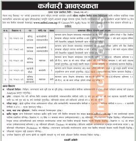 Mahila Laghubitta Bittiya Sanstha Limited Announces Major Job Openings