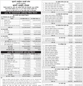Kumari Capital has published “Kumari Dhanabriddhi Yojana” NAV till Jestha, 2083