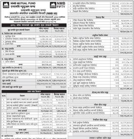  NMB Capital Limited has published 