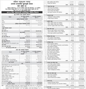 NI 31 Net Asset Value Update Released for Jestha 2083