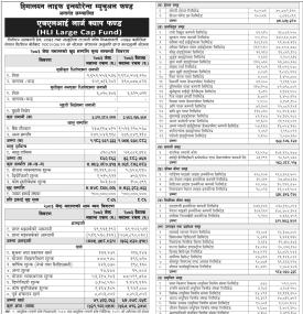 HLI Large Cap Fund Net Asset Value Update Released for Jestha 2083