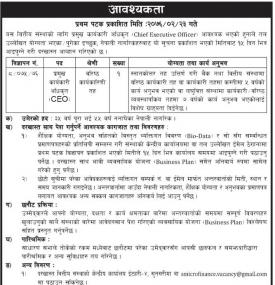 Vacancy Announcement for CEO