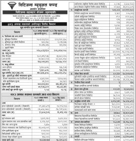 सिटिजन्स सदाबहार योजना (खुलामुखी) को एनएभी (NAV) तथा वित्तीय विवरण सार्वजनिक