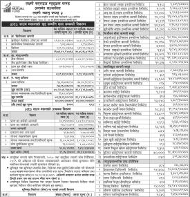 LS Capital Limited has published the Laxmi Value Fund-II Net Asset Value till Shrawan, 2083