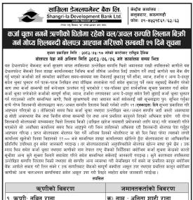 कर्जा नतिरेपछि ऋणीको धितो लिलाम गर्दै डेभलपमेन्ट बैंक