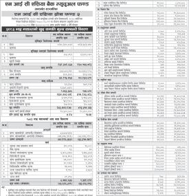NIC Asia Capital has published 
