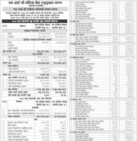 NIC Asia Capital has published NIC Asia Flexi Cap Fund Net Assets Value till Bhadra, 2083