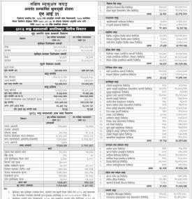  Nabil Investment Banking has published NI 31 Net Assets Value till Bhadra, 2083