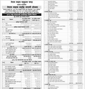 Nepal Life Capital has published Nepal Life Samriddhi Lagani Yojana NAV till Bhadra, 2083