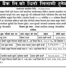 धितो लिलामिको सूचना