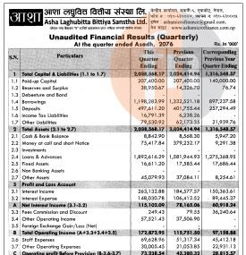 Unaudited  Financial Results (Quarterly)