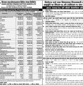 Unaudited Quarterly Financial Statement