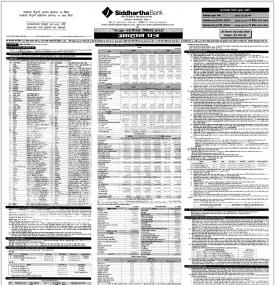 Debenture Issue Notice