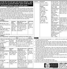 Tender Notice 