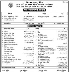 मासिक वासलात – मुद्रा व्यवस्थापन विभाग - NRB