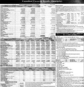 Unaudited Financial Results (Quarterly)