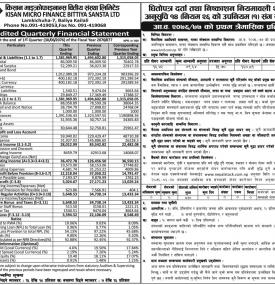Unaudited Quarterly Financial Statement