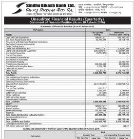 Unaudited Financial Results