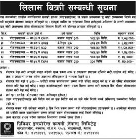 Tender Auction - Motorcycle 