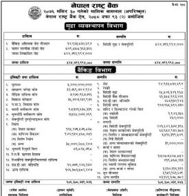 Unaudited Monthly Balance Sheet