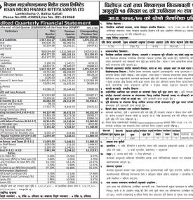 Unaudited Quarterly Financial Statement